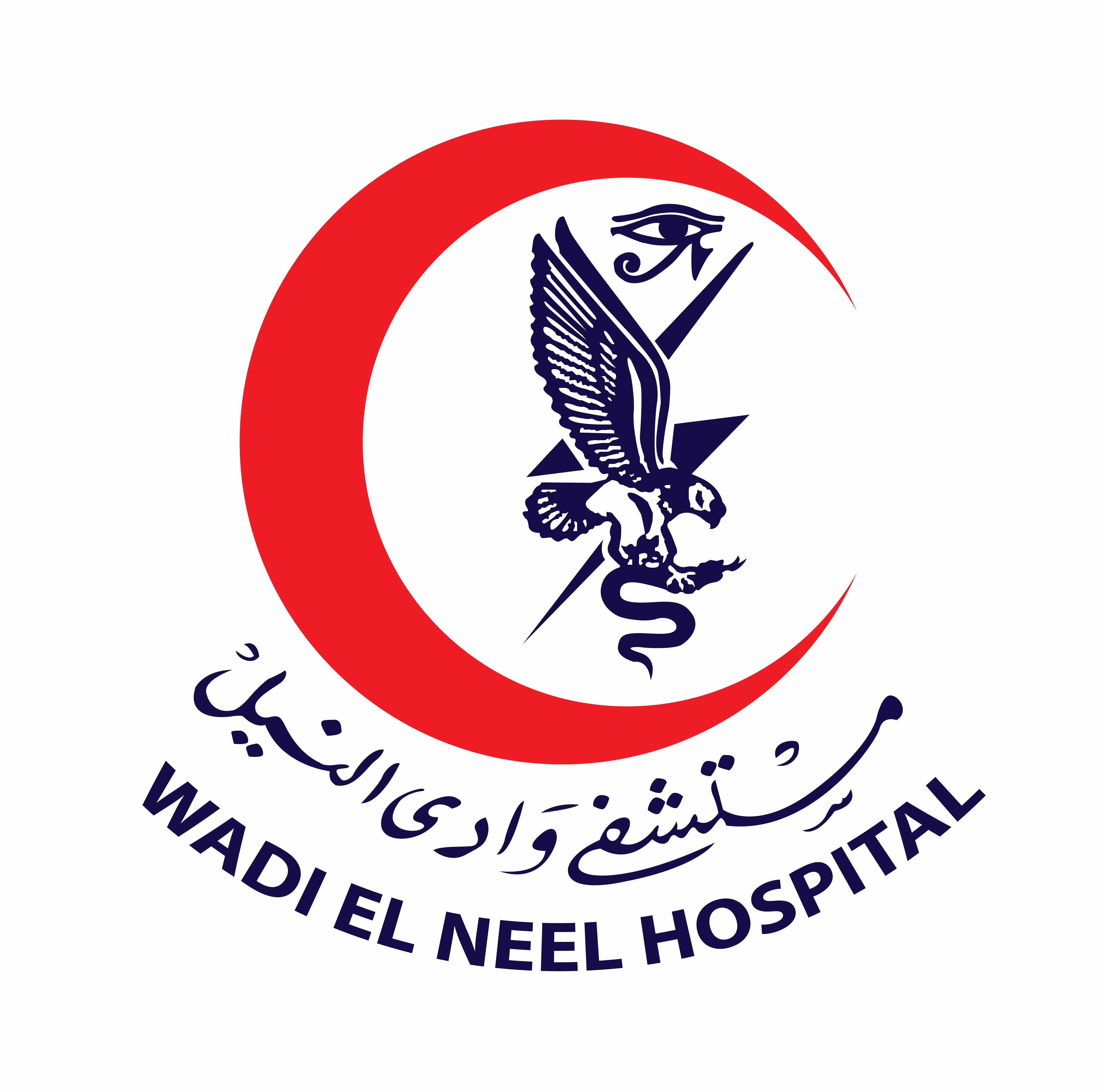 wadi-elneel-hospital
